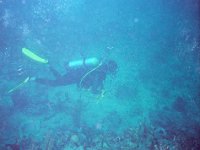 Dive 2